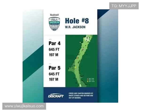 西安飞盘队整体压制战术解析及其在赛事中的应用探讨