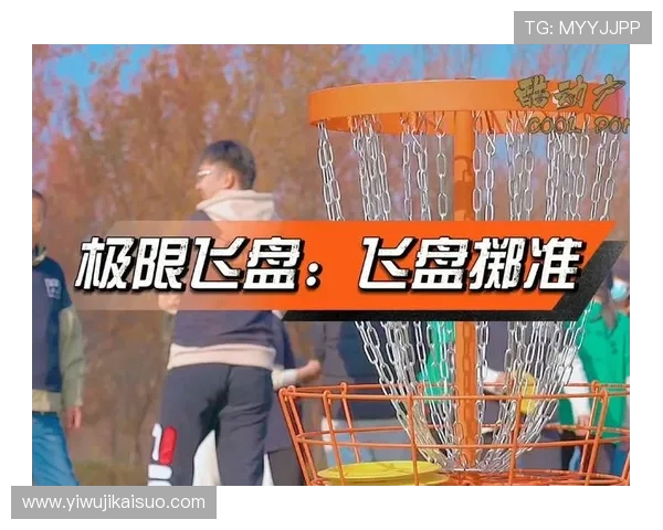 赵强独家分享飞盘技巧与心得体会助你提升飞盘水平的秘密秘籍