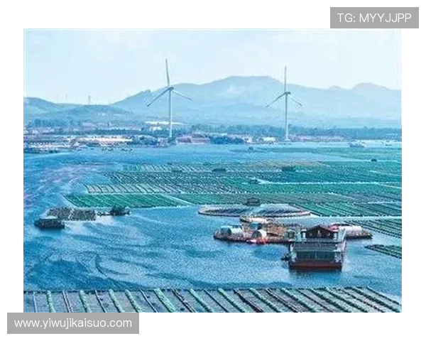 青岛国信水产打造现代海洋牧场推动海洋产业高质量发展